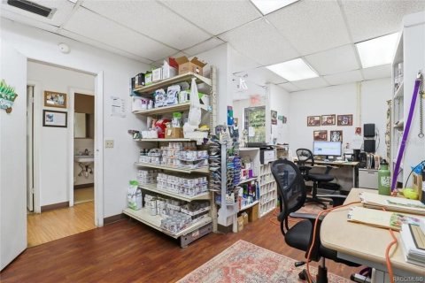 Commercial property in Floral City, Florida 250.46 sq.m. № 2208783 - photo 8