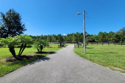 Villa ou maison à louer à Kissimmee, Floride: 4 chambres, 260.13 m2 № 2431753 - photo 2