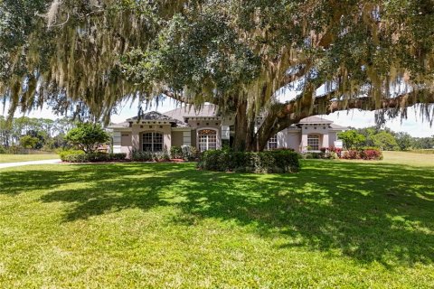 Villa ou maison à vendre à Clermont, Floride: 4 chambres, 287.72 m2 № 1902720 - photo 3