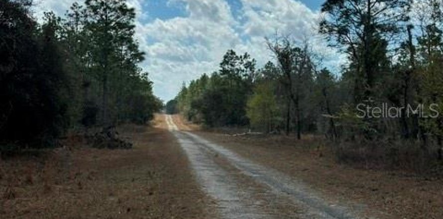 Land in Ocala, Florida № 2161860