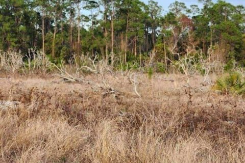 Land in Frostproof, Florida № 1855740 - photo 3