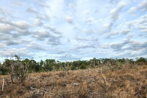 Land in Frostproof, Florida № 1855740 - photo 4