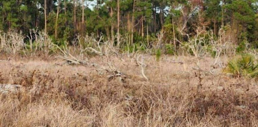 Land in Frostproof, Florida № 1855740