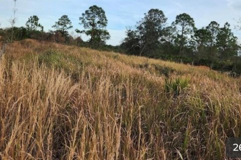 Land in Frostproof, Florida № 1855740 - photo 6