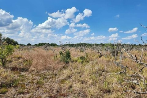 Land in Frostproof, Florida № 1855740 - photo 10