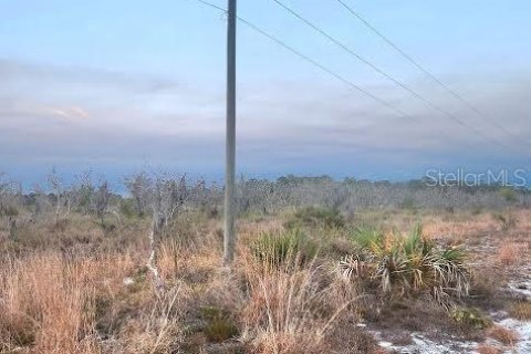 Land in Frostproof, Florida № 1855740 - photo 9