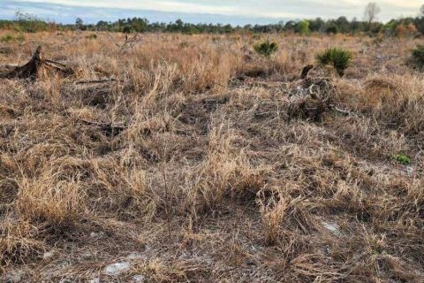 Land in Frostproof, Florida № 1855740 - photo 5