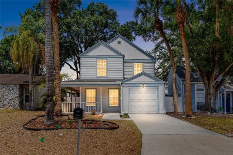 House in Temple Terrace, Florida 3 bedrooms, 146.41 sq.m. № 2137099