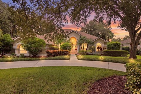 House in Tampa, Florida 4 bedrooms, 322.37 sq.m. № 2391024