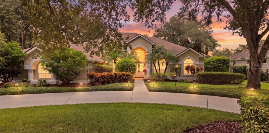 House in Tampa, Florida 4 bedrooms, 322.37 sq.m. № 2391024