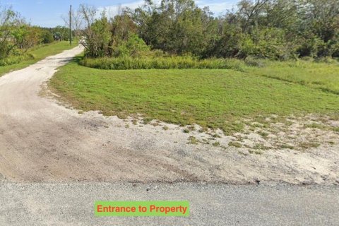 Terrain à vendre à Myakka City, Floride № 2424264 - photo 4