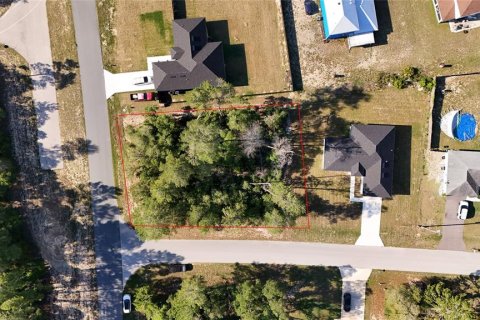 Terrain à Ocala, Floride № 2111695