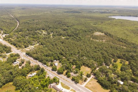 Land in Waldo, Florida № 1659062 - photo 8