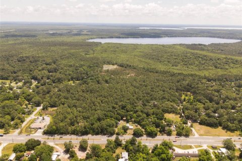 Land in Waldo, Florida № 1659062 - photo 10
