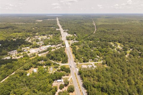 Land in Waldo, Florida № 1659062 - photo 11