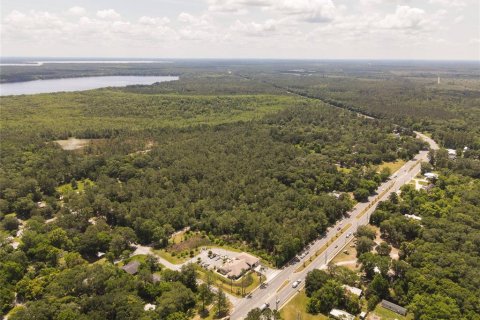 Land in Waldo, Florida № 1659062 - photo 5