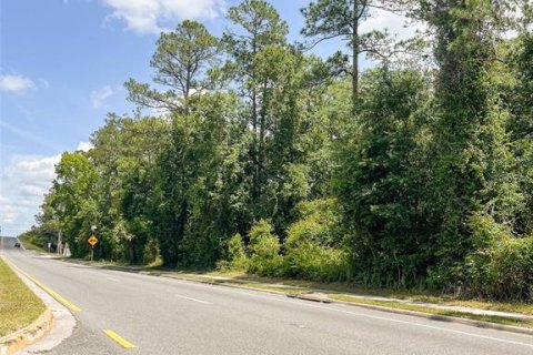 Land in Waldo, Florida № 1659062 - photo 6