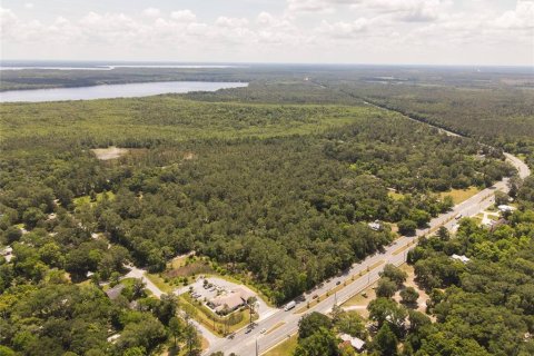 Land in Waldo, Florida № 1659062 - photo 9