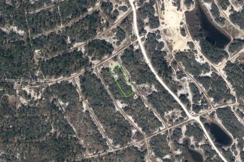 Land in Lake Placid, Florida № 1729624 - photo 2