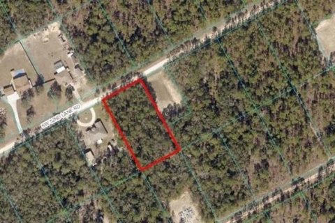Land in Lake Placid, Florida № 1729624 - photo 4