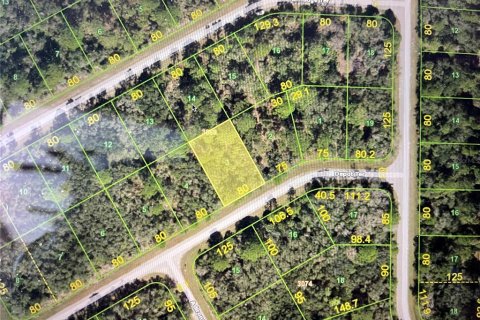 Land in Port Charlotte, Florida № 2229078 - photo 4