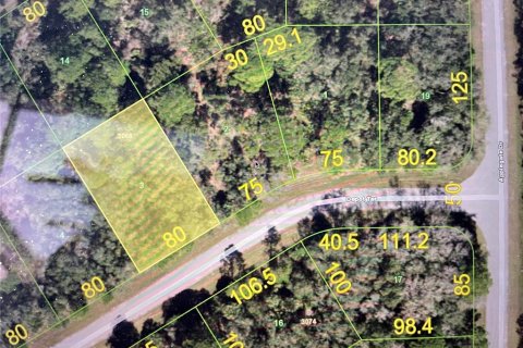 Land in Port Charlotte, Florida № 2229078 - photo 3