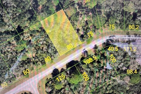 Terreno en Port Charlotte, Florida № 2229078