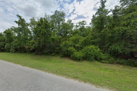 Land in Ocala, Florida № 1609370 - photo 4