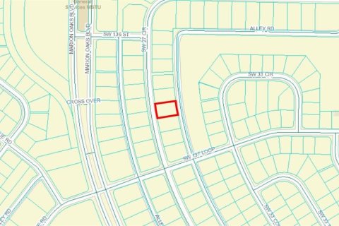 Land in Ocala, Florida № 1609370 - photo 5