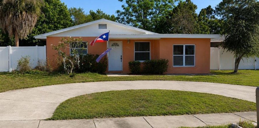 House in Tampa, Florida 4 bedrooms, 164.62 sq.m. № 2237367