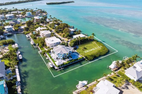 House in Islamorada, Village of Islands, Florida 6 bedrooms, 408.21 sq.m. № 1482816 - photo 3