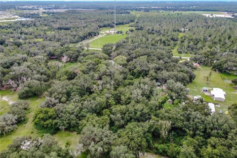 Casa en venta en Riverview, Florida, 3 dormitorios, 140.47 m2 № 2111799 - foto 6