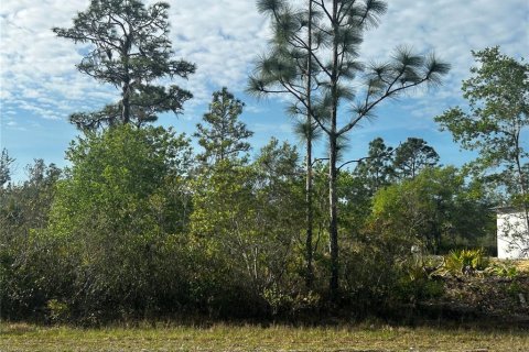 Land in Indian lake estates, Florida № 2161633