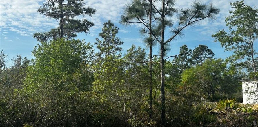 Land in Indian lake estates, Florida № 2161633