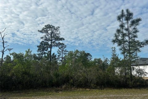 Land in Indian lake estates, Florida № 2161633 - photo 3