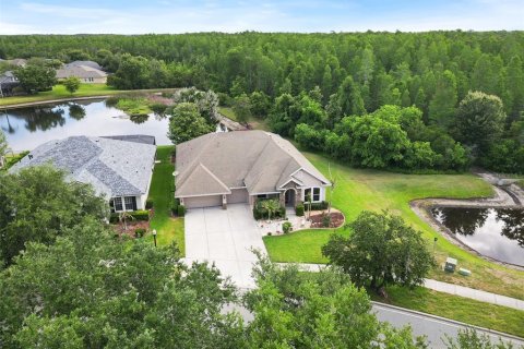 House in Land O' Lakes, Florida 4 bedrooms, 269.88 sq.m. № 2098204 - photo 2
