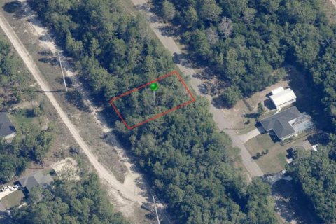 Land in Citrus Springs, Florida № 2163357