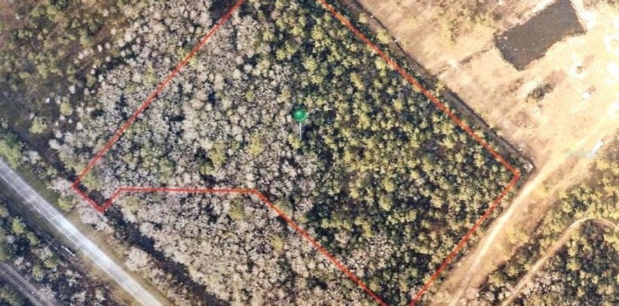 Land in Pierson, Florida № 1514519