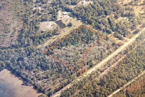 Land in Pierson, Florida № 1514519 - photo 3