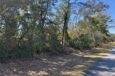 Terrain à vendre à Ocala, Floride № 1915504 - photo 6