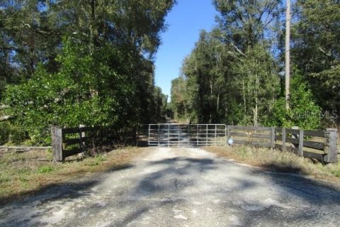 House in Bell, Florida 4 bedrooms, 249.72 sq.m. № 1350325 - photo 8