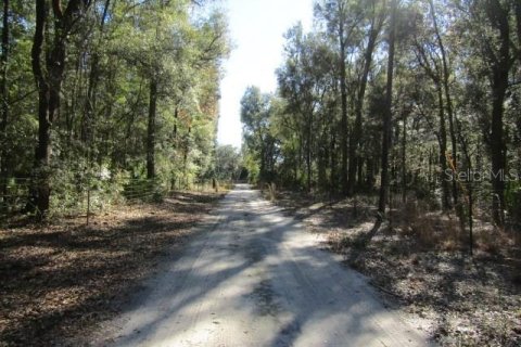 House in Bell, Florida 4 bedrooms, 249.72 sq.m. № 1350325 - photo 13