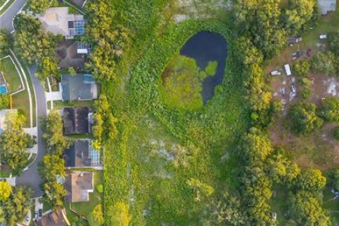 Terreno en venta en Tampa, Florida № 1845344 - foto 10