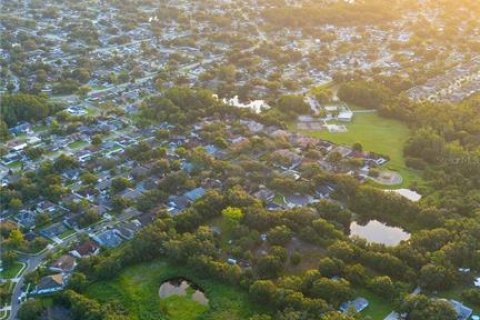 Terreno en venta en Tampa, Florida № 1845344 - foto 11