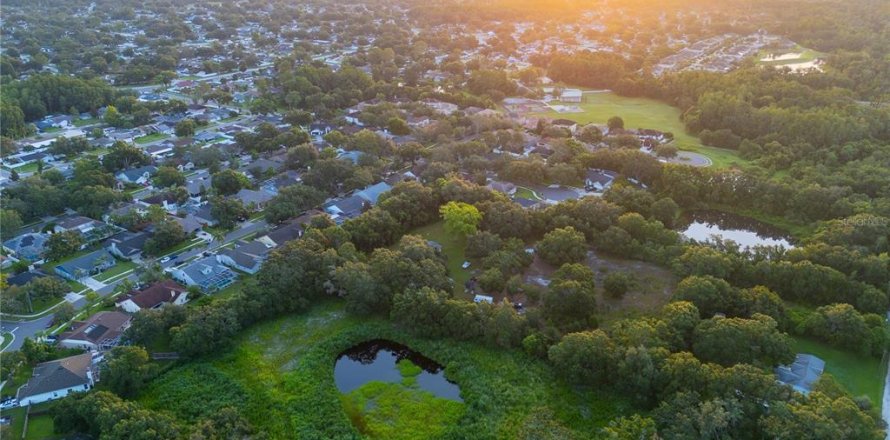 Terreno en Tampa, Florida № 1845344