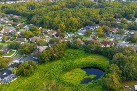 Terreno en venta en Tampa, Florida № 1845344 - foto 8