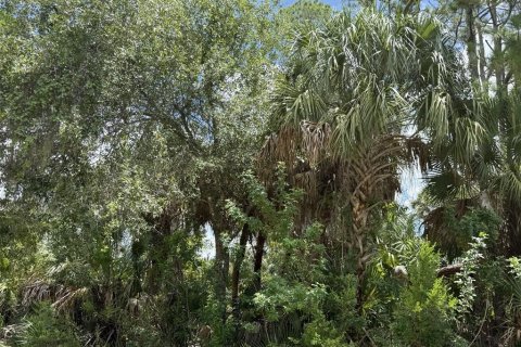 Land in North Port, Florida № 2221020 - photo 4