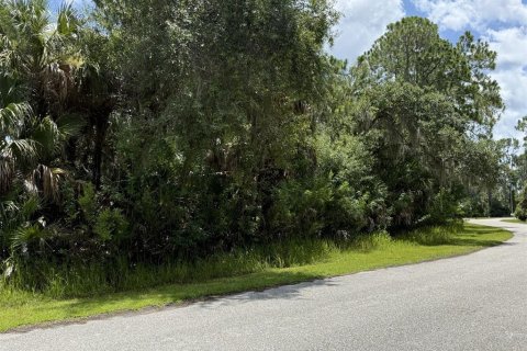 Land in North Port, Florida № 2221020 - photo 5