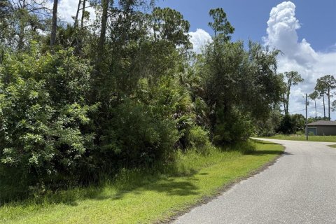 Land in North Port, Florida № 2221020 - photo 7