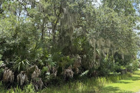Land in North Port, Florida № 2221020 - photo 3
